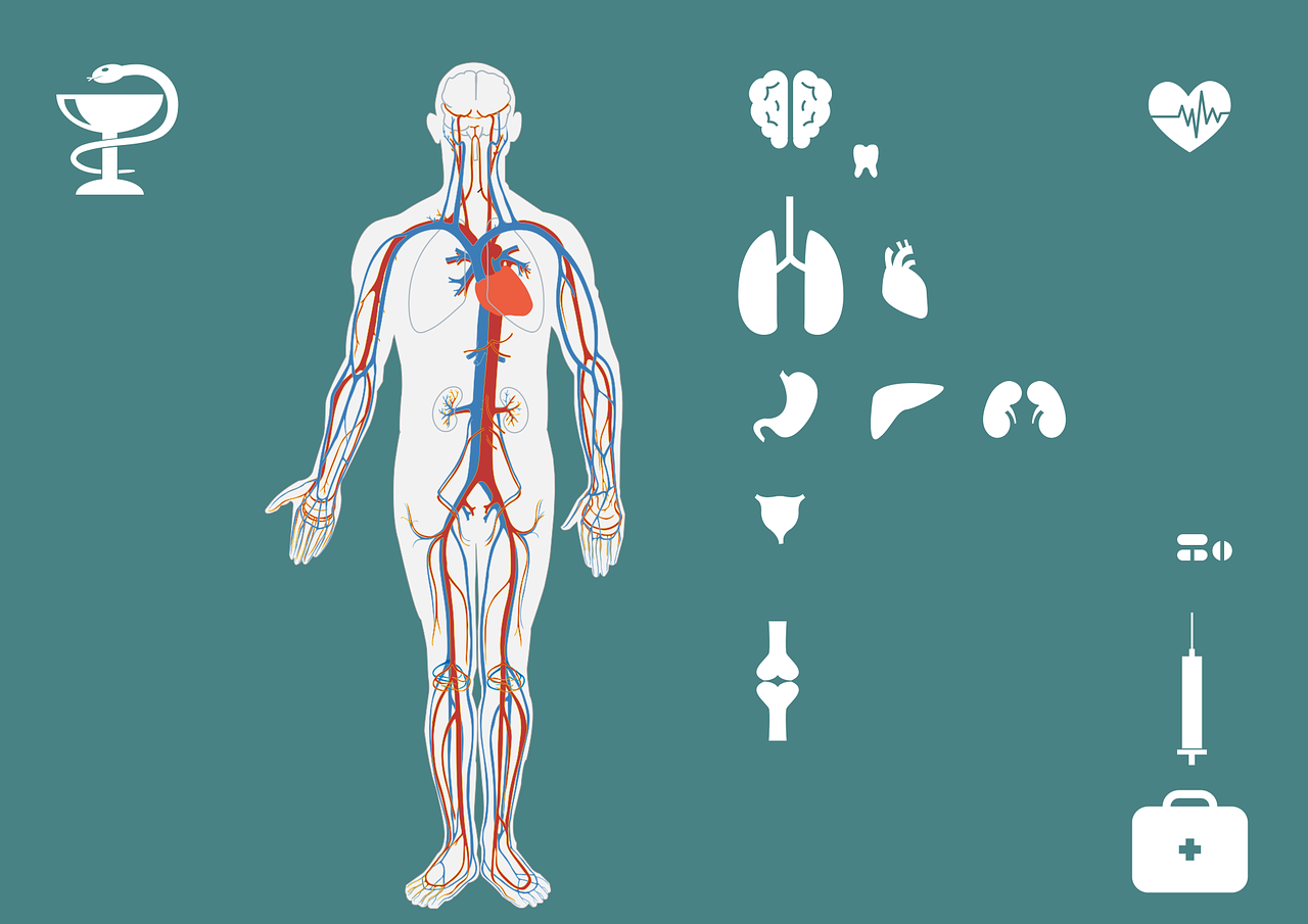 广东最新无症状感染者的观察与深度研究