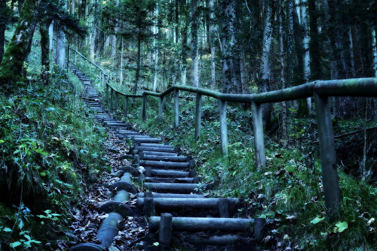 萧天策最新动态揭秘，探寻未来之路，揭开神秘面纱