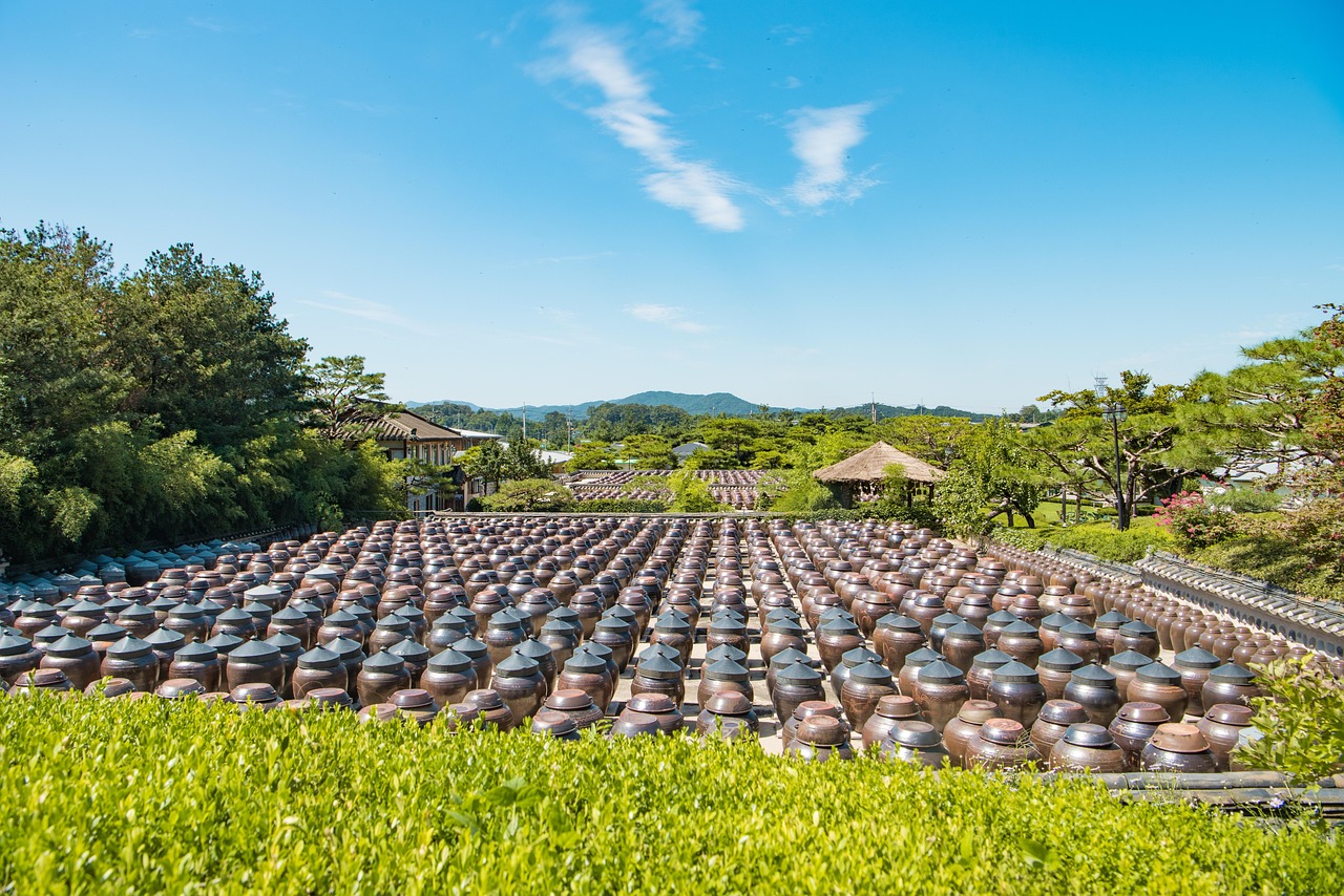 探索未来农业新领域，最新种植作物概览